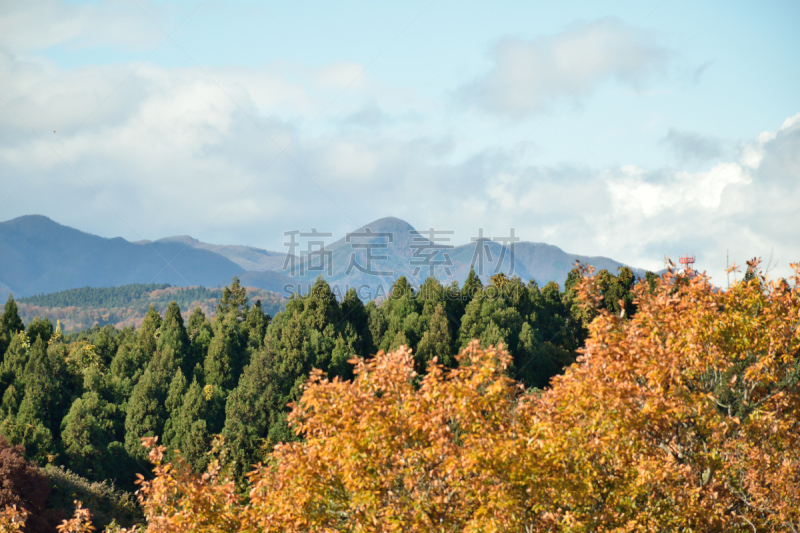 山,秋天,天空,美,公园,里山,水平画幅,无人,户外,明亮