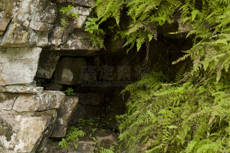 蕨类,沙岩,river ausable,阿迪朗达克州立公园,自然,沟壑,水平画幅,地形,岩石,无人