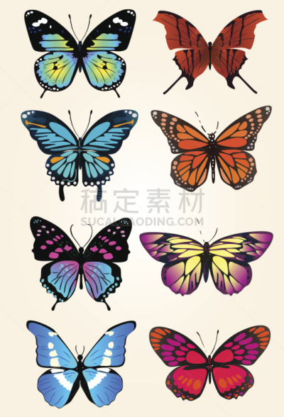 蝴蝶,自然,垂直画幅,无人,蓝色,绘画插图,夏天,组物体,泉,黄色