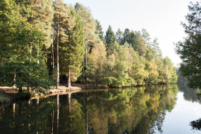 forest of dean,湖,野鸭,桨叉架船,黑斑狗鱼,格洛斯特郡,水,天空,宁静,旅游目的地
