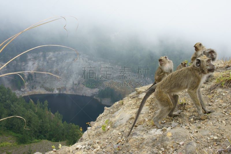 猴子,提威族,在上面,高视角,山,女人,灵性,旅游目的地,水平画幅,传统庆典