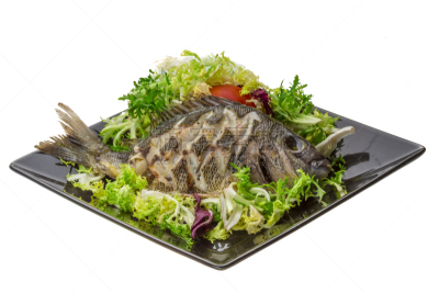格子烤肉,罗非鱼,沙拉,餐具,水平画幅,无人,膳食,海产,烹调,烘焙
