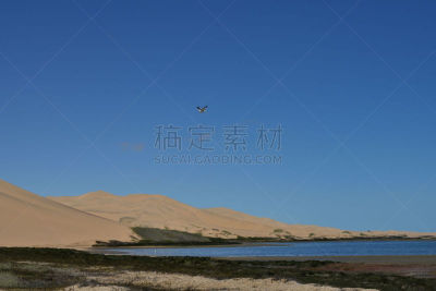 纳米比亚,海港,沙漠,三明治,水,天空,沙子,纳米布沙漠,海滩,风景