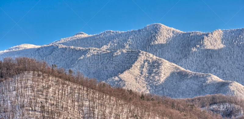 冬天,newfound gap,clingman's dome,格托林伯格,田纳西,天空,水平画幅,雪,无人,户外