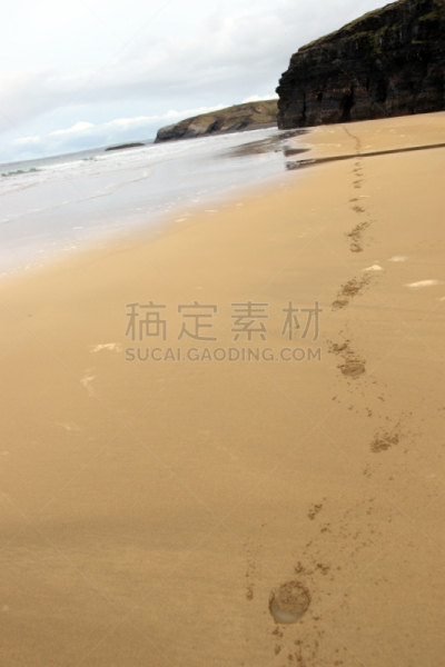 巴利巴宁,马,海滩,海浪,大西洋,哺乳纲,蹄,自然美,动物,海岸线