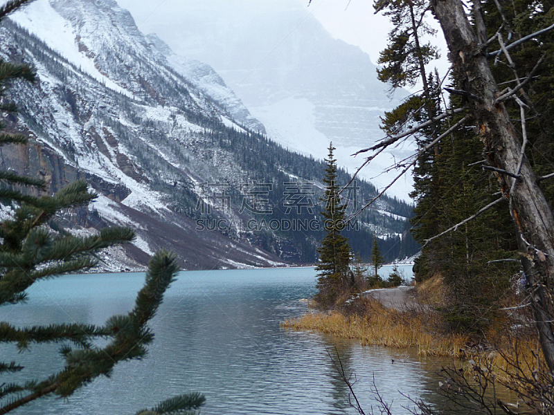 冬天,秋天,加拿大,水平画幅,山,雪,无人,常绿树,2015年,户外
