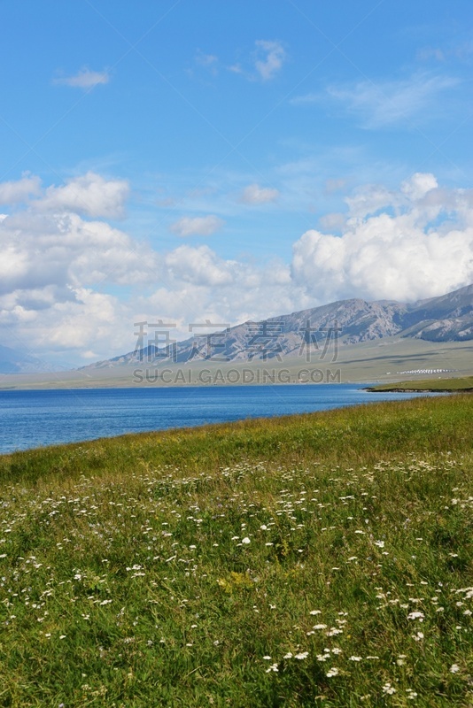 湖,风景,赛里木湖风景区,垂直画幅,无人,夏天,户外,草,图表,山