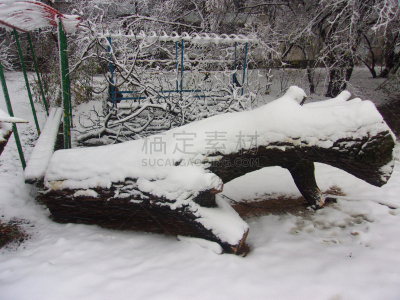 公园,禁止的,伐木搬运业,雪,木料堆,休闲器具,拆毁的,秃树,工业,冬天