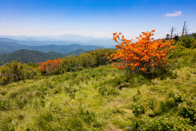 田纳西,六月,美国,水平画幅,橙色,地形,无人,户外,山脊,山