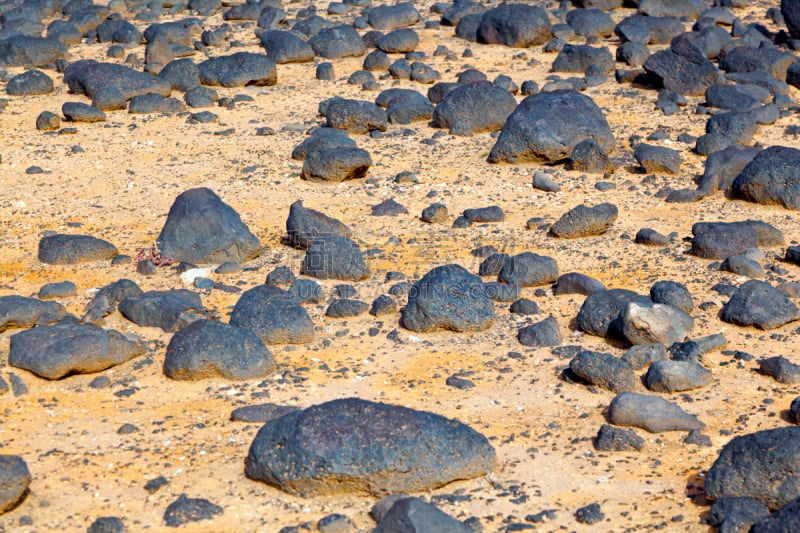 干的,石头,熔岩,海岸线,居住区,古典式,timanfaya national park,兰萨罗特岛,玄武岩,褐色