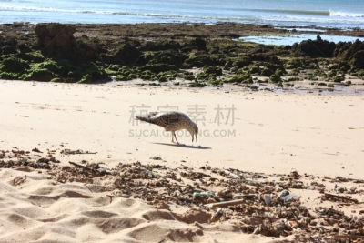 埃贝茨球场,玛莉亚露易莎公园,冰崩,阿尔布费拉,瓦登海.,潮水坑,阿尔加威,河岸,被侵蚀的,水