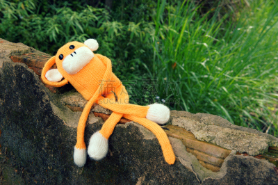 符号,猴子,2016,寂寞,羊毛,猴年,水平画幅,非凡的,想法,monkey face