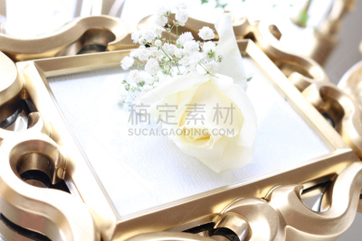 白昼,优洛县,黄金,瑞典,水平画幅,木制,无人,黄色,玫瑰,除草