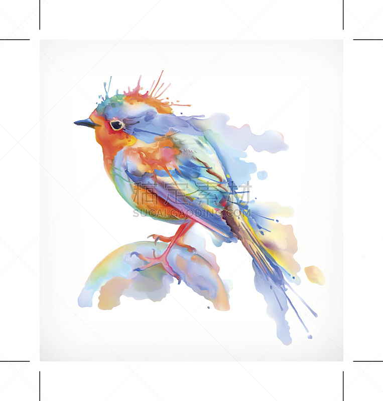 小的,鸟类,绘画插图,矢量,水彩画,分离着色,知更鸟,可爱的,水彩画颜料,一个物体
