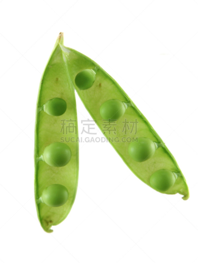 香豌豆,一模一样,垂直画幅,豌豆,绿色,无人,白色背景,背景分离,春天,彩色图片
