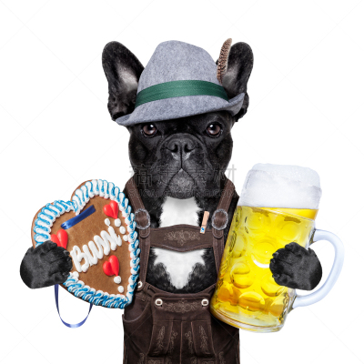 啤酒,狗,puggle犬,皮短裤,紧身连衣裙,拳师犬,法国斗牛犬,巴哥犬,椒盐饼干,慕尼黑
