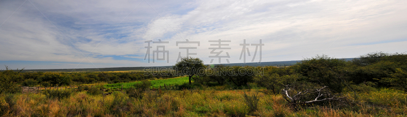 地形,自然,野生动物,阿根廷,草原,水平画幅,绿色,枝繁叶茂,景观设计,无人