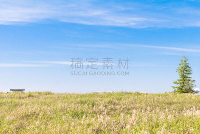 天空,长野县,草,自然,绿色,地形,日本,美原,风景,背景