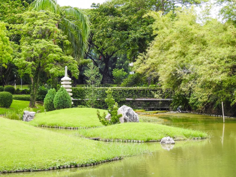 水,植物群,华丽的,园林,竹,花园路,草坪,庭院,美,水平画幅