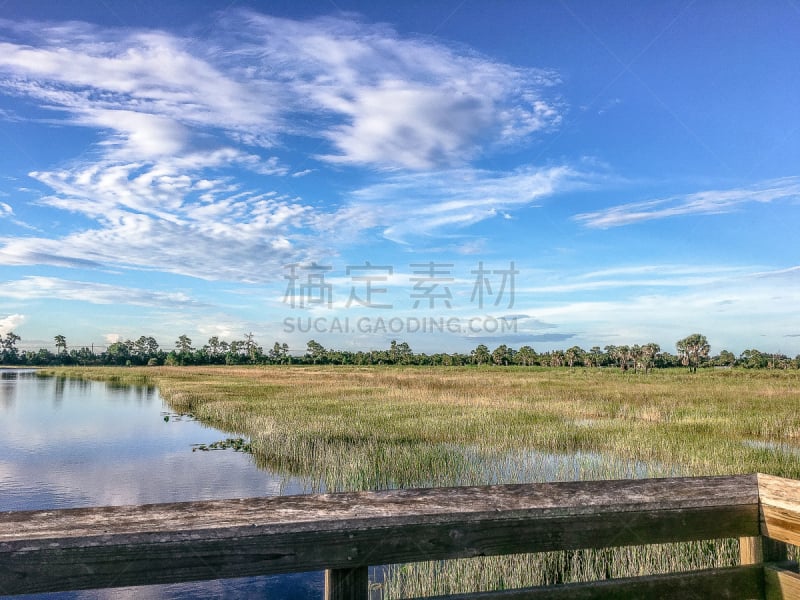 Pine Glades Natural Area in Florida Swamps