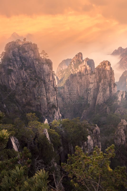 风景,海洋,雾,安徽省,黄山,中国东部,云景,云,中国,植物