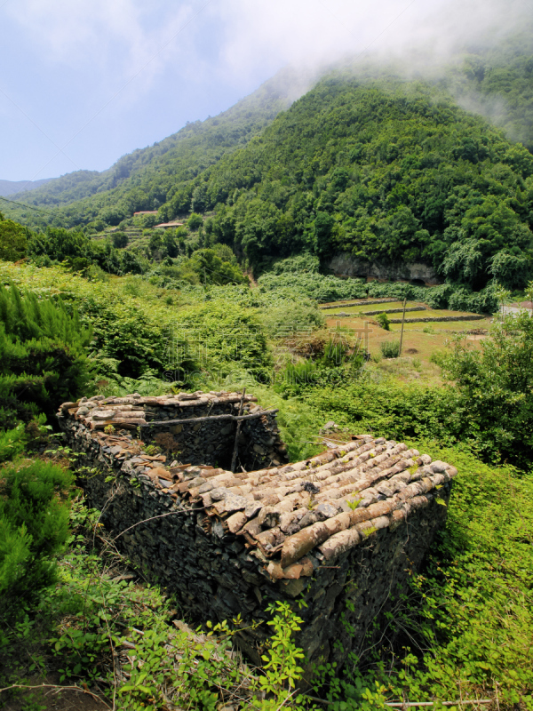 月桂树,雪松,垂直画幅,绿色,地形,山,瀑布,无人,大西洋