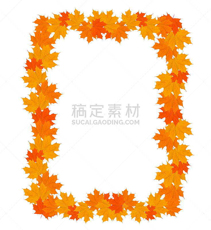 秋天,黄色,叶子,文字,边框,自然美,自然,垂直画幅,美,留白