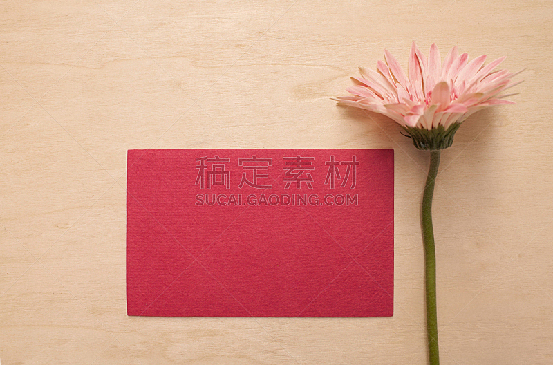 红色,雏菊,粉色,仅一朵花,卡片,自然,太空,草地,红牌,水平画幅