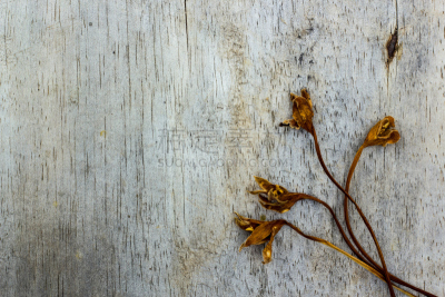 cork tree,背景,木制,褐色,水平画幅,无人,干的,乡村风格,建筑业,商业金融和工业