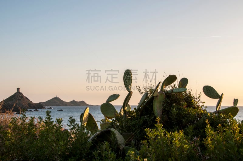 赤血岛,自然,水平画幅,无人,户外,岛,海洋,海岸线,灌木,风景