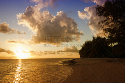 海滩,岛,鸡尾酒,水,天空,休闲活动,沙子,南太平洋,曙暮光,夏天