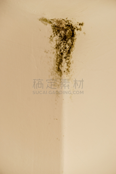 墙,角落,轻的,霉菌,白色,健康保健,卫生,古老的,波兰,房屋