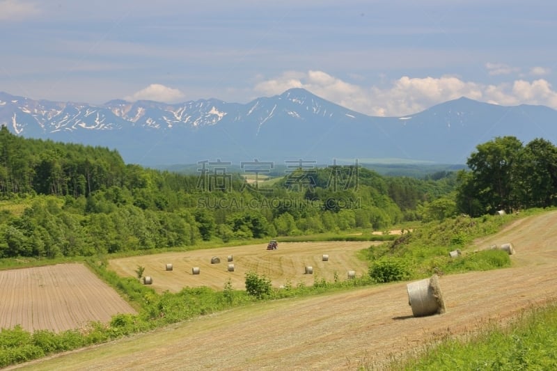 北海道,日本,地形,富良野盆地,美瑛町,水平画幅,山,无人,夏天,度假