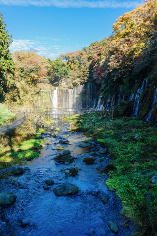 秋天,shiraito falls,富士箱根伊豆国立公园,静冈县,垂直画幅,水,天空,美,里山,休闲活动