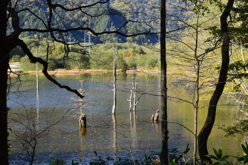 长野县,勒马前行,自然,水平画幅,日本,户外,徒步旅行,山,2015年,河流