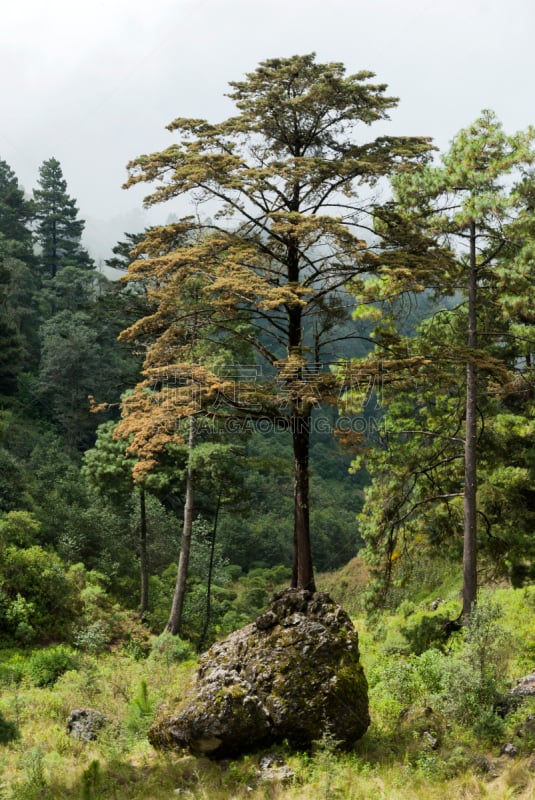 云,山,危地马拉,山谷,韦韦特南戈,天空,蓝色,垂直画幅,美,灵感