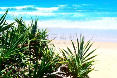 风景,海滩,水平画幅,无人,海景,户外,阳光海岸,库拉姆海滩,摄影