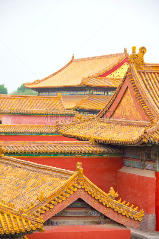 故宫,屋顶,北京,安全护栏,传统,京宫,庭院,垂直画幅,正面视角,公园