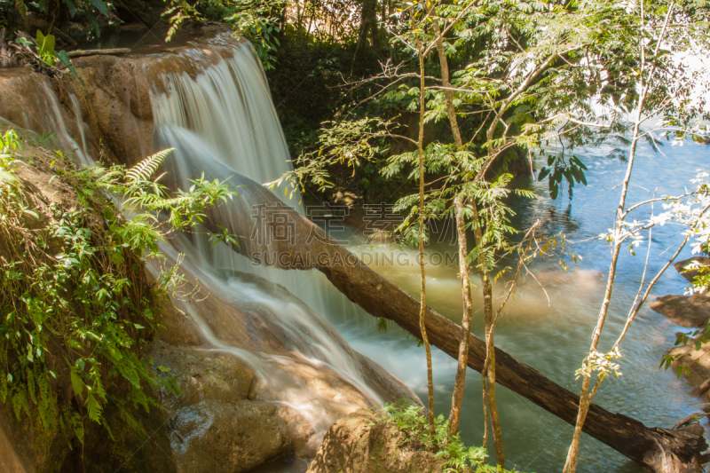 agua azul cascades,恰帕斯州,自然,野生动物,水平画幅,瀑布,无人,夏天,户外,湖