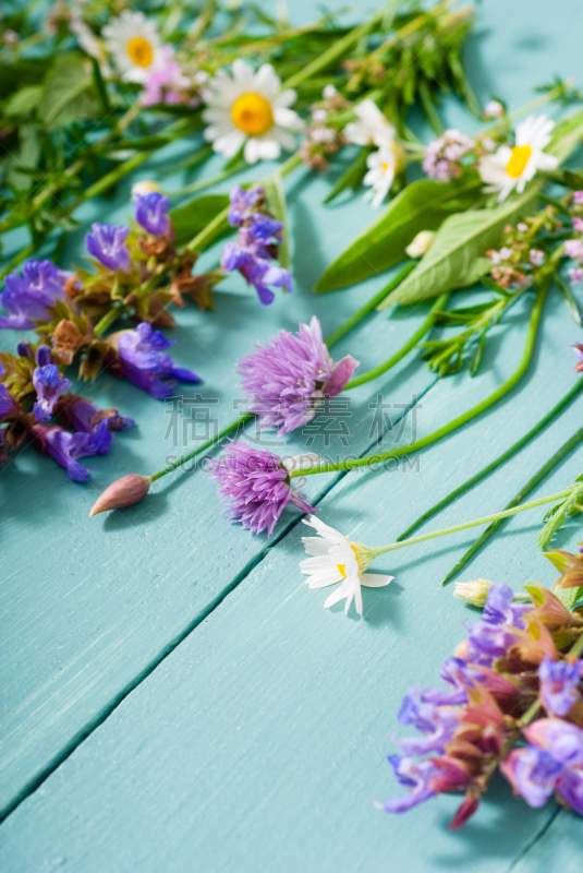 草本,蓝色,薰衣草色,熏衣草,细香葱,香旱芹菜,香料,龙蒿,春天,绿松石色