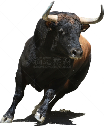 公牛,垂直画幅,无人,传统,风险,有角的,西班牙语,西班牙,斗牛比赛,牛