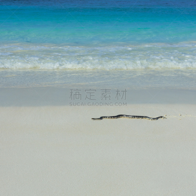 岛,柯大寨大队,斯米兰群岛,攀牙府,沙子,无人,安达曼海,夏天,户外,泰国