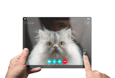 白色,波斯猫,幽默,白色背景,分离着色,可爱的,触摸屏,计算机,平板电脑
