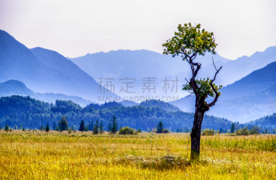 巴伐利亚,murnauer moos,地形,水,天空,水平画幅,山,小木屋,谷仓,无人