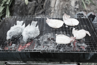罗非鱼,格子烤肉,鱿鱼,水平画幅,膳食,海产,特写,烤的,设备用品,2015年