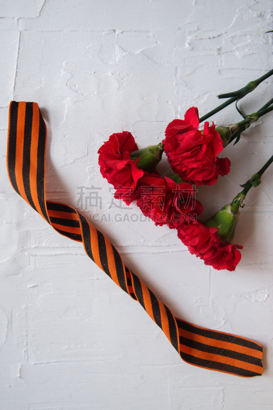 背景,五月,70多岁,缎带,50年节,乔治,抽象,康乃馨,数字9,花