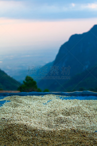 长江,咖啡豆,清新,垂直画幅,天空,美,烤咖啡豆,公园,咖啡生豆