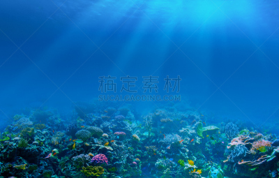 水下,礁石,背景,自然,水,水平画幅,无人,蓝色,游泳池,海底