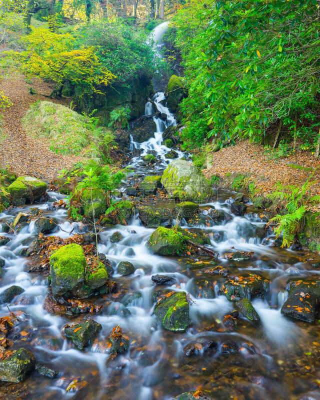 Dartmoor,瀑布,英格兰,德文郡,自然,垂直画幅,无人,欧洲,水库,生长