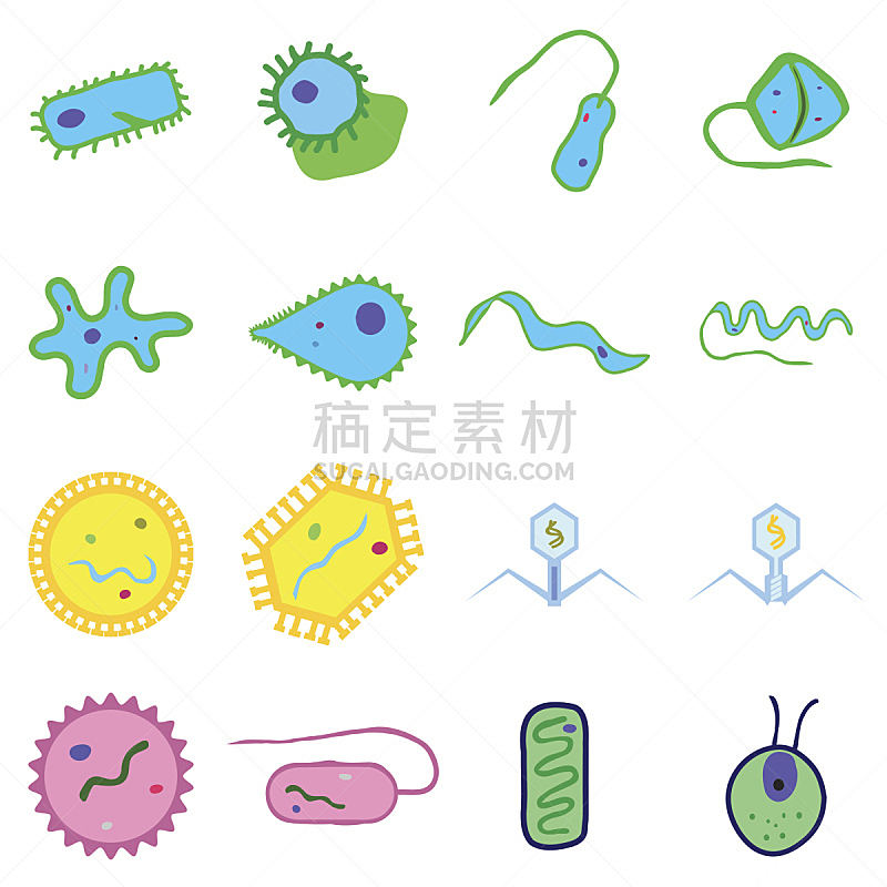 病毒,藻类,细菌,薄肌眼虫,水棉属绿藻,噬菌体,螺旋杆菌,草履虫,鞭毛,纤毛